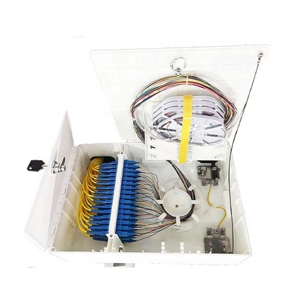 Lithuania sells fiber optic cables at high prices