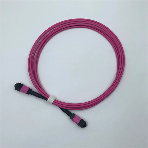 Cabling within network racks